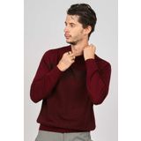Desen Triko 0249641 Desenli Yarım Balıkçı Yün Bordo Erkek Kazak
