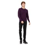 DESEN TRİKO Erkek Basic Polo Yaka İnce Triko Kazak K.Mor Beden;L,Renk;K.Mor dsnNM1692