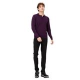 DESEN TRİKO Erkek Basic Polo Yaka İnce Triko Kazak K.Mor Beden;M,Renk;K.Mor dsnNM1693