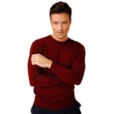 DESEN TRİKO Erkek Basic Sıfır Yaka İnce Triko Kazak Bordo Beden;M dsnNM1856