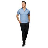 DESEN TRİKO Erkek Polo Yaka Keten Baskılı T-shirt Lacivert Beden;L,Renk;Lacivert dsnNM8511