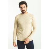 Desenli Bej Rengi Slim Fit Bisiklet Yaka Yün Erkek Kazak