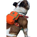 Design, Gimme Five, Turuncu Çantalı Göğüs Tasması,Köpek Sırt Çantası – Göğüs Tasması İşlevli, Geri Dönüştürülmüş Malzeme, Ayarlanabilir,