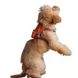 Design, Turuncu, Çantalı Göğüs Tasması, Köpek Sırt Çantası – 2’Si 1 Arada Göğüs Tasması Fonksiyonlu, Ayarlanabilir, Küçük & Büyük Irklar İçin, Small