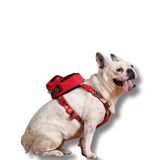 Design,Çantalı Göğüs Tasması, Köpek Sırt Çantası – 2’Si 1 Arada Göğüs Tasması Fonksiyonlu, Ayarlanabilir, Küçük & Büyük Irklar İçin,Kırmızı, Large, Recycled