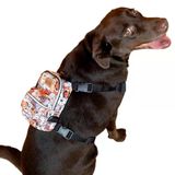 Design,Çantalı Göğüs Tasması, Köpek Sırt Çantası – 2’Si 1 Arada Göğüs Tasması Fonksiyonlu, Ayarlanabilir, Küçük & Büyük Irklar İçin,Paws, Small