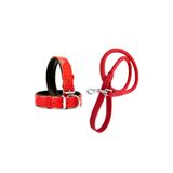 DESİNGSHOP Kırmızı Deri Örgü Köpek Gezdirme Kayışı 90cm Ve Kırmızı Deri Köpek Tasması 2,5x56 Cm Toplam 2 Adet