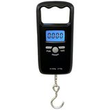 Desis KFS-T1 50KG / 10GR Askı Terazi