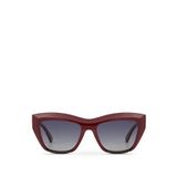 Despada DS 2360 C3 Cat Eye Bordo Asetat Kadın Güneş Gözlüğü