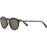 Despada DS 2386 C3 Oval Havana Asetat Kahverengi Unisex Güneş Gözlüğü