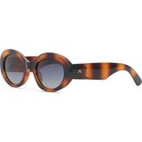 Despada Ds 2455 C2 Cat Eye Kadın Güneş Gözlüğü - Havana