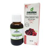 Destek 50 ml Üzüm Çekirdeği Yağı