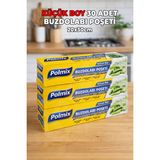 Destpak 30 Adet Küçük Boy Buzdolabı Poşeti - Ekstra Sağlam - Sızdırmaz - Buzluk Poşeti - 20X30CM