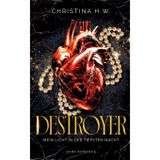 Destroyer: Mein Licht in der tiefsten Nacht: 1