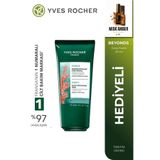 Detoks Etkili Arındırıcı Saç Peeling Maskesi Okyanus Algi ve Beyaz Kil Yağlı Saçlar 200 ml SACMASK-YVES-BYD-48