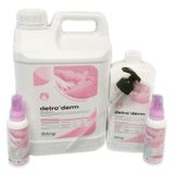 Detroderm 5 lt El Dezenfektanı