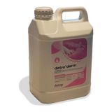 Detrox Detroderm El Ve Cilt Dezenfektanı 5 Litre