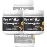 Dev Afrika Salyangozu Kremi 2li Avantajpaket - 2 x 100 ml