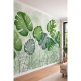 Dev Monstera Yaprak Desenli Modern Yeşil ve Beyaz Tonlu Tek Parça Tekstil Duvar Kağıdı, 200 x 150