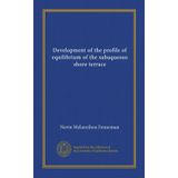 Development of the profile of equilibrium of the subaqueous shore terrace
