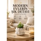 devhome Boyanabilir Taş Tozu Dekoratif Saksı Minimal Lotus Saksı Ev Ofis Masaüstü Dekoru Beyaz Tasarım Obje 7 cm