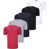 Dewberry Beşli Set T8568 Dewberry V Yaka Erkek T-Shırt-Siyah-Beyaz-Lacivert-Gri-Bordo - Siyah - Beyaz - Lacivert - Gri - Bordo - XL