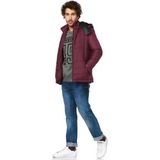 Dewberry M8623 Bordo Erkek Mont