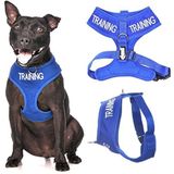 Dexil Limited Eğitim (Eğitimde Köpek/Rahatsız Etmeyin) Mavi Renk Kodlu Çekilmez Ön ve Arka D Halka Dolgulu ve Su Geçirmez Yelek Köpek Koşum Takımı (Medium Harness 48-71 cm Göğüs/Çevre)