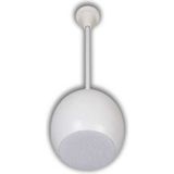 Dexun S-6 Sarkıt Hoparlör 50 WATT/100V