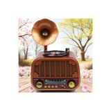 Dexxony Gramofonlu Retro Vintage Nostaljik Radyo - Bluetooth Hoparlör & Fm Radyo (Videolu)