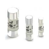 DF 10x38 mm 10'lu Gecikmeli Tip Kartuş Sigorta