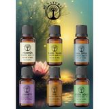 Di Natural Derin Odak Set 6*10ML Esansiyel Uçucu Koku Yağı Aromaterapi Yağı Buhurdanlık Yağı Difüzör Esansı Ortam Oda Kokusu