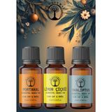 Di Natural Enerji Seti 3*10ML Esansiyel Uçucu Koku Yağı Aromaterapi Yağı Buhurdanlık Yağı Difüzör Esansı Ortam Oda Kokusu