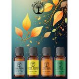 Di Natural Ferah Set 4*10 ml Esansiyel Uçucu Yağ Aromaterapi Yağı Buhurdanlık Yağı Difüzör Esansı Ortam Oda Kokusu