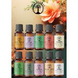 Di Natural Gizem SET10*10 ml Esansiyel Uçucu Koku Yağı Aromaterapi Yağı Buhurdanlık Yağı Difüzör Esansı Ortam Oda Kokusu