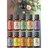 Di Natural Muhteşem Set 10*10ML Esansiyel Uçucu Koku Yağı Aromaterapi Yağı Buhurdanlık Yağı Difüzör Esansı Ortam Oda Kokusu