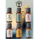 Di Natural Romantizm Set 6*10 ml Esansiyel Uçucu Yağ Aromaterapi Yağı Buhurdanlık Yağı Difüzör Esansı Ortam Oda Kokusu