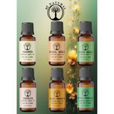 Di Natural Toprak Set 6*10ML Esansiyel Uçucu Yağ Aromaterapi Yağ Buhurdanlık Yağı Difüzör Esansı Ortam Oda Kokusu
