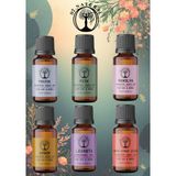 Di Natural Zerafet 6*10ML Esansiyel Uçucu Koku Yağı Aromaterapi Yağı Buhurdanlık Yağı Difüzör Esansı Ortam Oda Kokusu