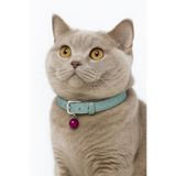 Diamond Ayarlanabilir Zilli Kedi Tasması