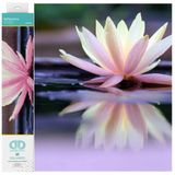 DIAMOND DOTZ DQ8.008 - Orijinal 5D Diamond Painting Squares Set Serose, 17.595 kare elmas mozaik taşlı, boyama seti yakl. 31 x 41 cm 8 yaşından büyük çocuklar ve yetişkinler için