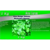 Dichondra Repens 1 KG Fare Kulağı Tohumu Fare Kulağı Çimi