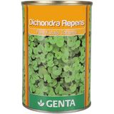 Dichondra Repens Çim Tohumu 250 Gr