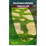Dichondra Repens Fare Kulağı Çim Tohumu 500 GR Kutuda