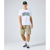 Dickies DK0A4XEDKHK1-001 Bej Millerville Short Erkek Şort