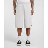 Dickies DK0A885BA281-001 Streetsboro 13 Inch Sweat Short Erkek Gri Şort