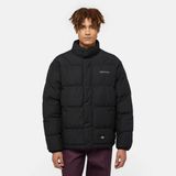 Dickies Scobey Puffer Erkek Siyah Mont - BLK-Siyah