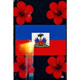 Didi Journals: The Haiti Notebook