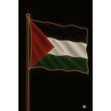 Didi Journals: The Palestine Notebook