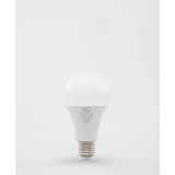 Die Grup 15W LED Ampül, Gün Işığı Renk, E27 Duy Uyumlu, Tasarruflu